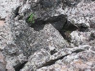 otta di Serra Pizzuta-20100602 143